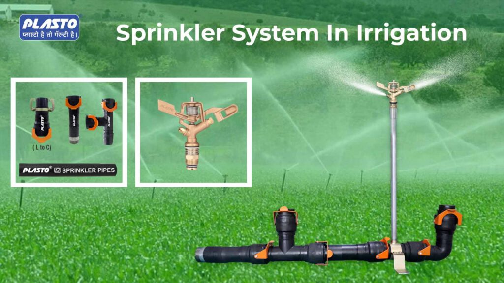 Sprinkler System In Irrigation