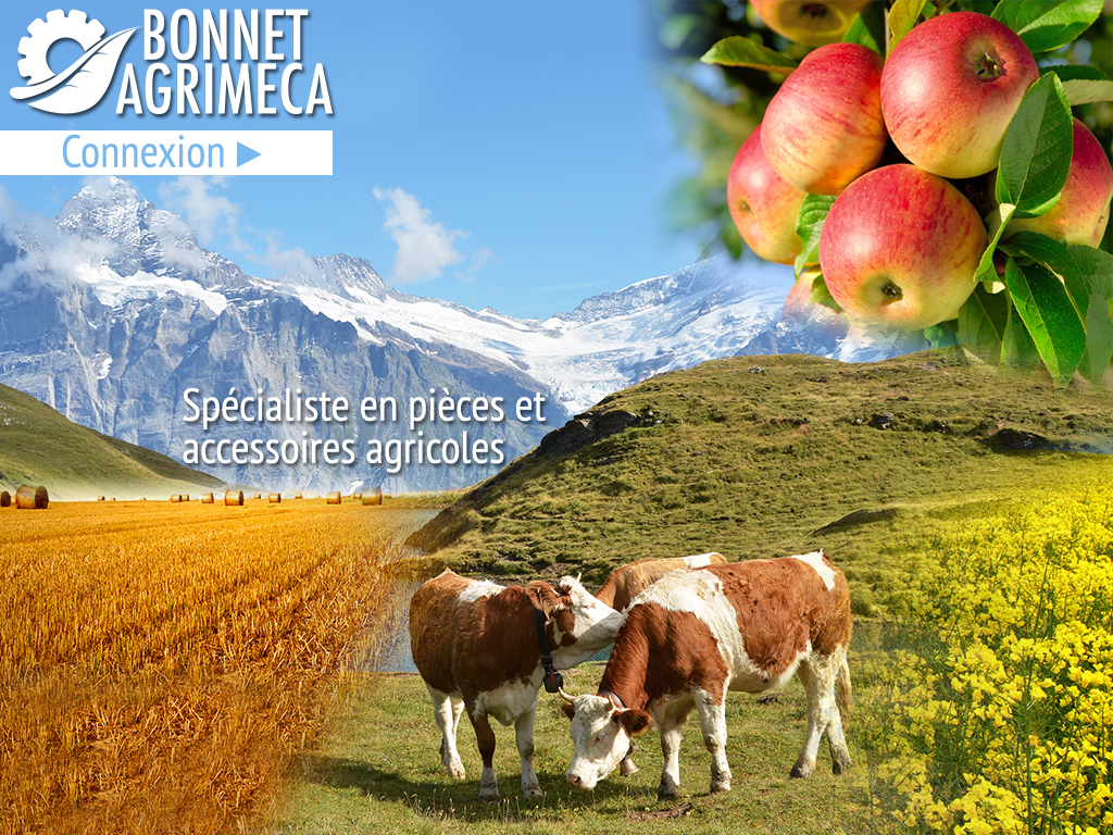 Etablissement Bonnet