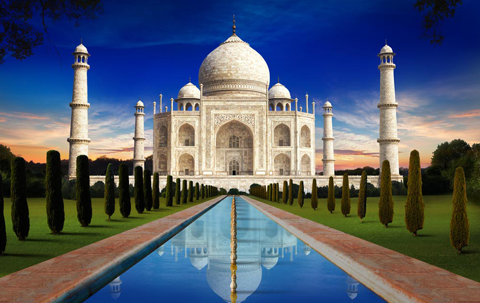 Decorative Wallpaper Suppliers in Delhi NCR Platinum Decor