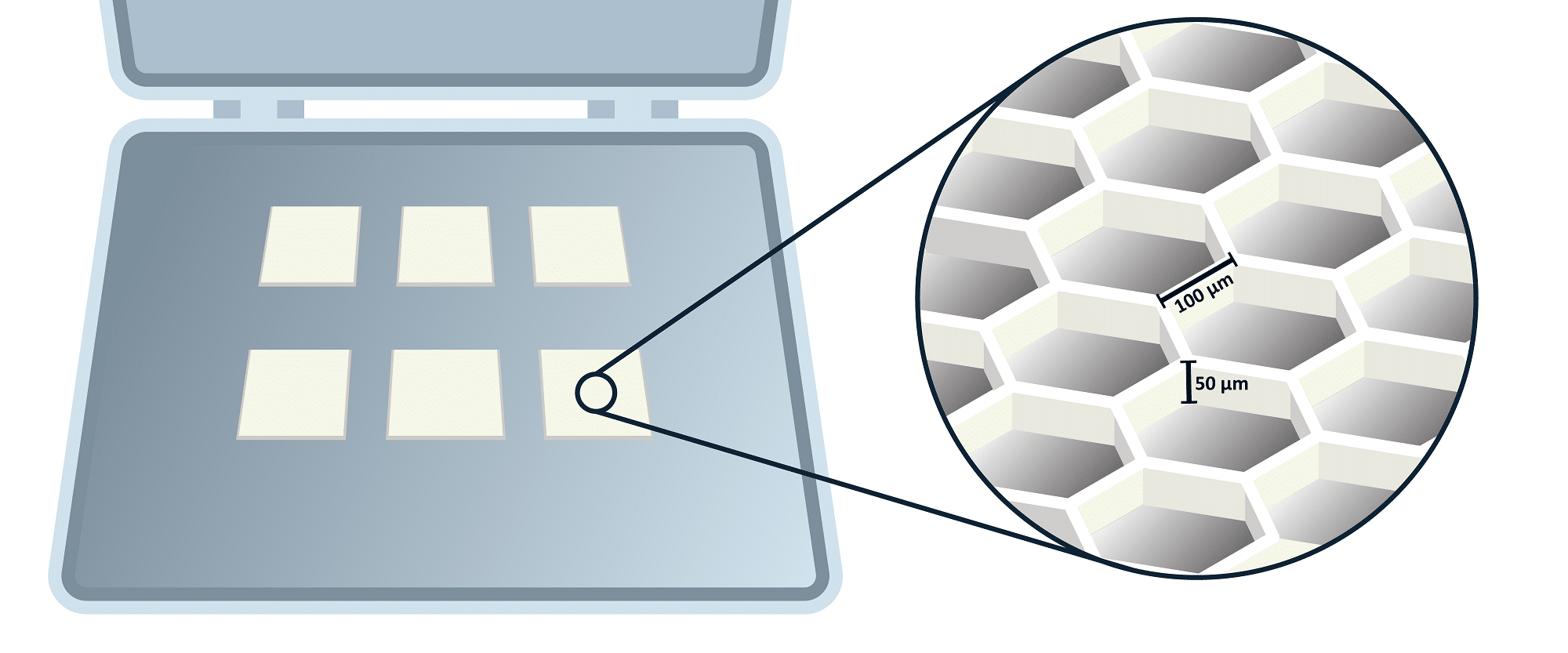 Microwell Arrays Cell Separations Liquid Handling
