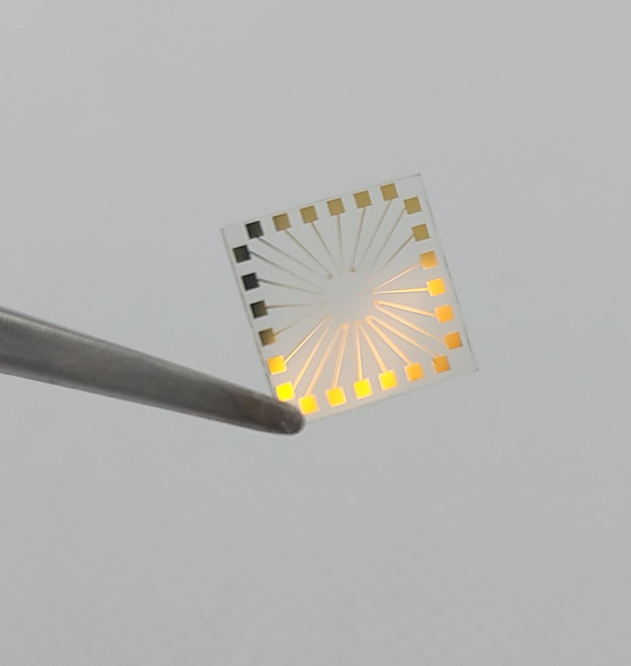 Interdigitated Electrode Array 6pack Platypus Technologies