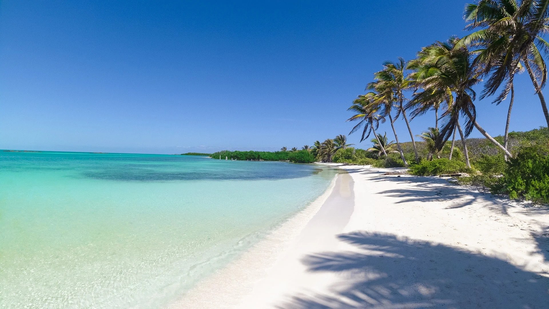 Punta Allen Playas de Mexico