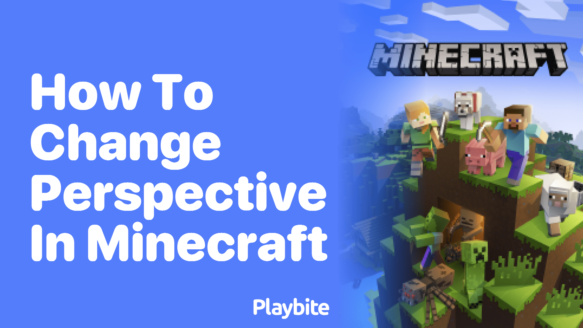 How to Change Perspective in Minecraft Playbite(03)