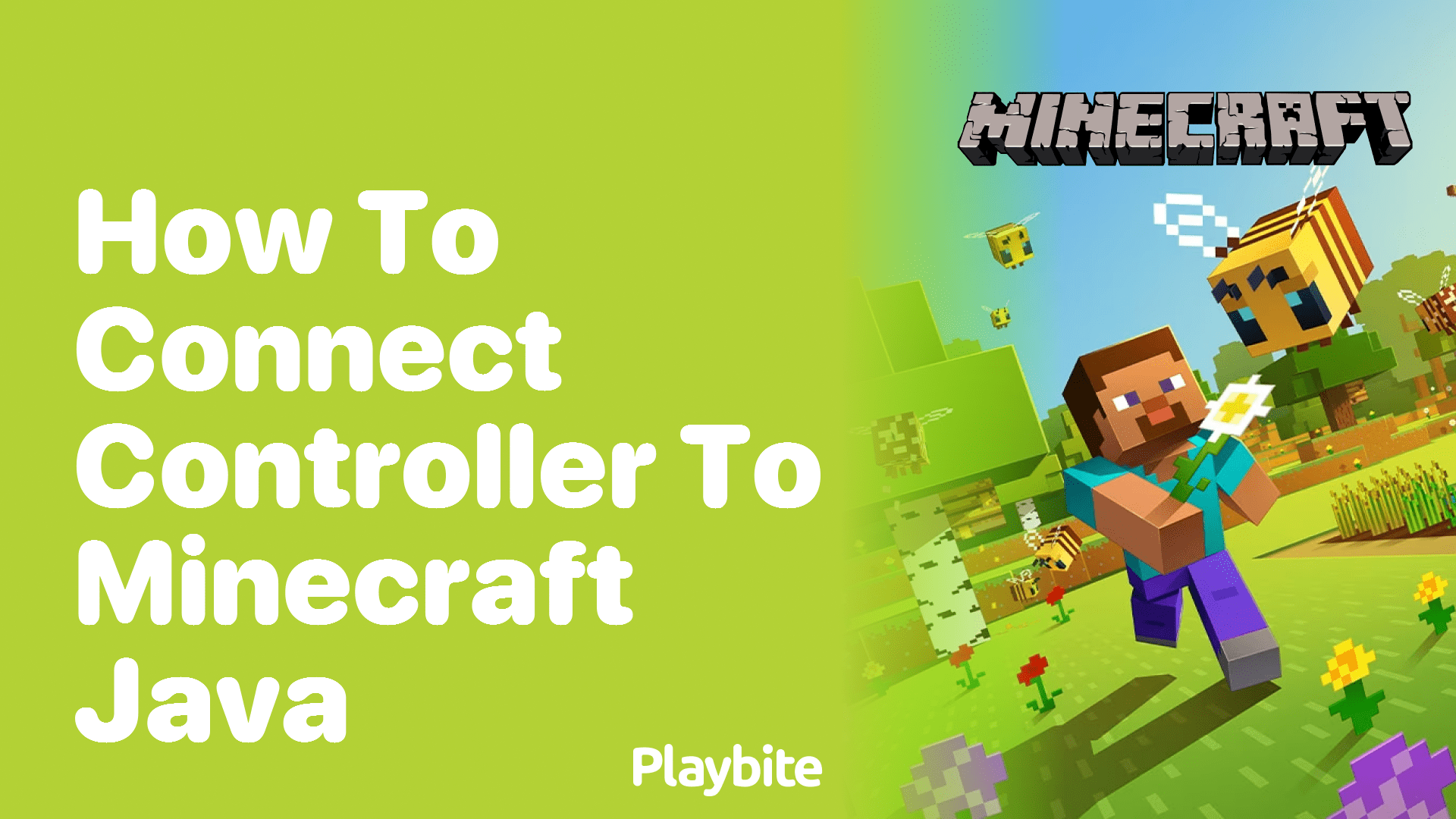 How to Connect a Controller to Minecraft Java Playbite