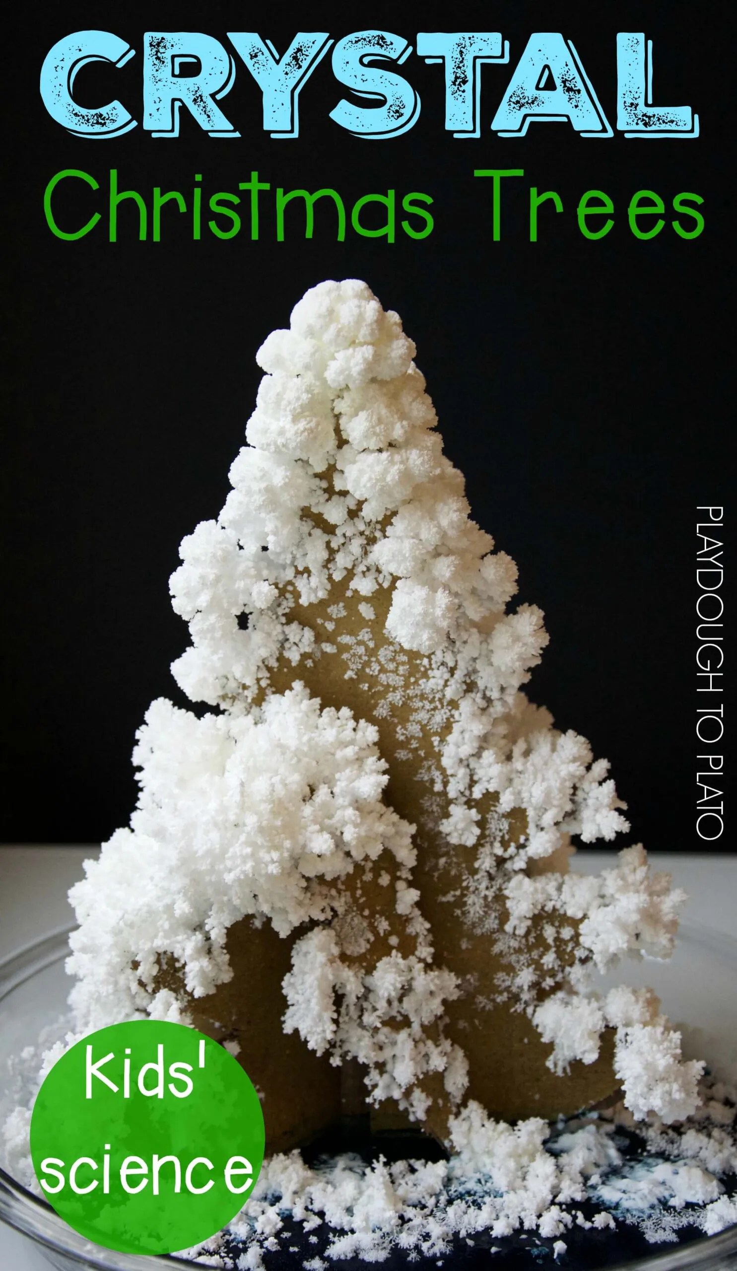 Growing a Crystal Tree Playdough To Plato