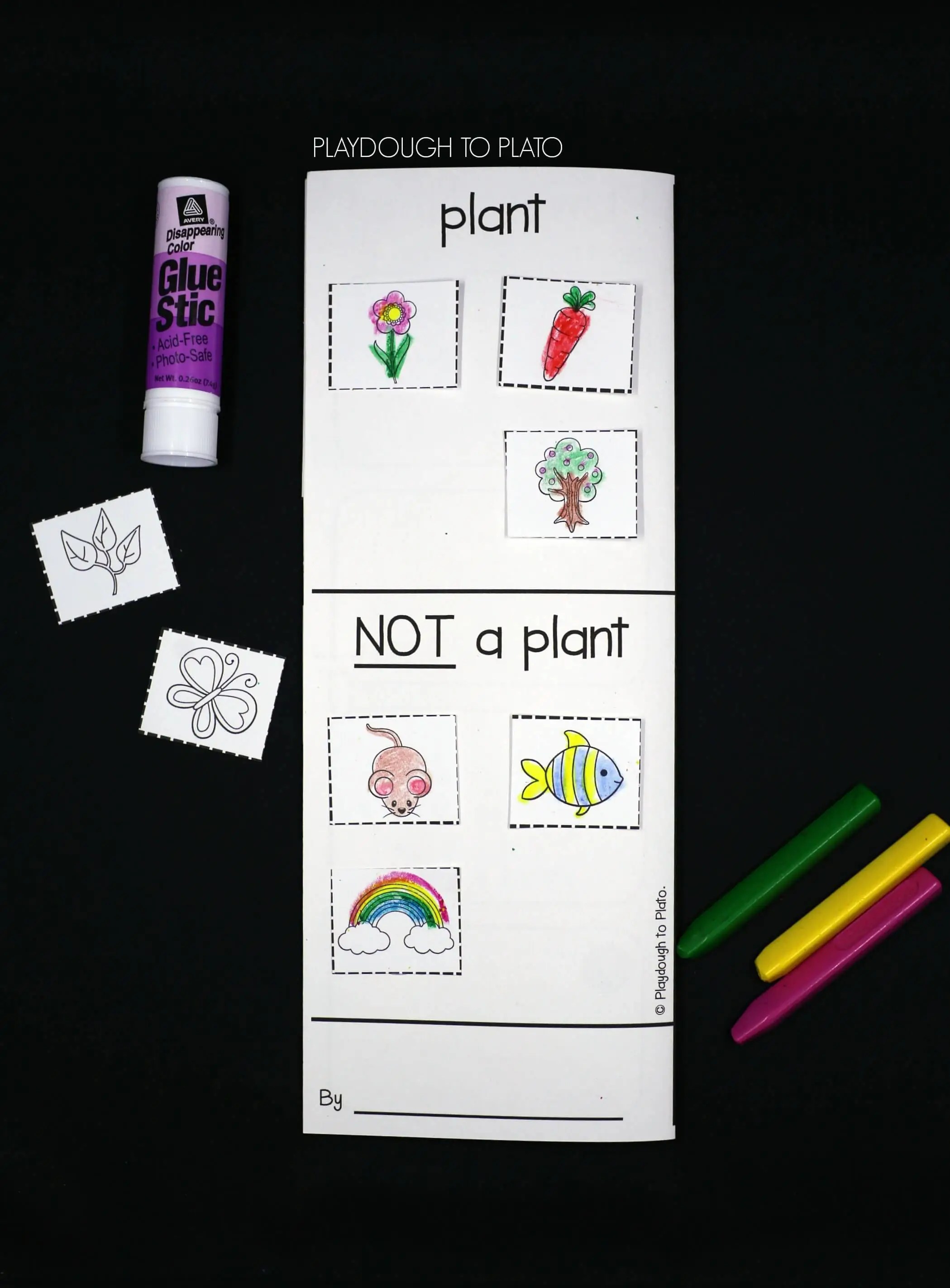 11 Plant Life Cycle Activities Playdough To Plato