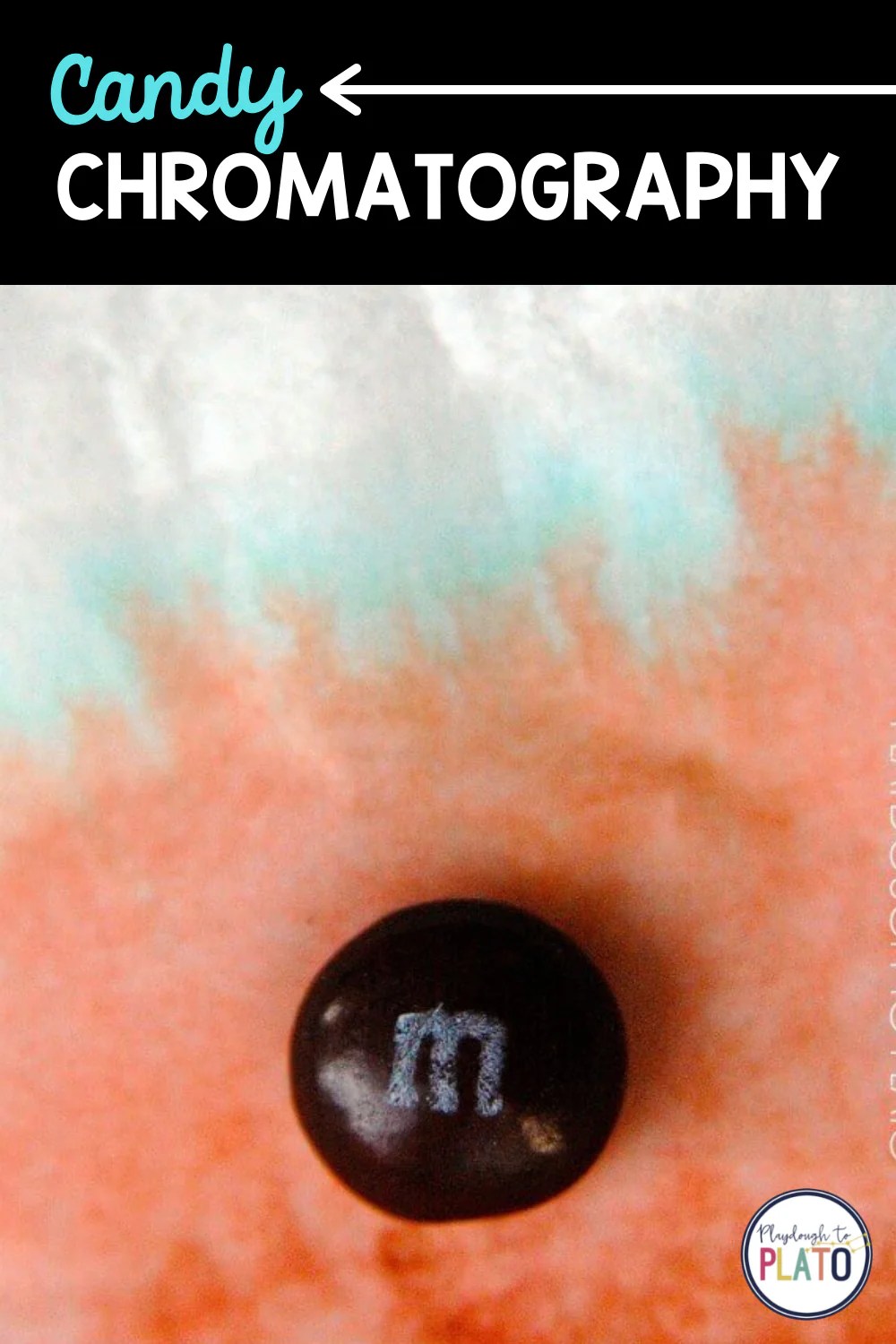 Water Cycle in a Bag Playdough To Plato