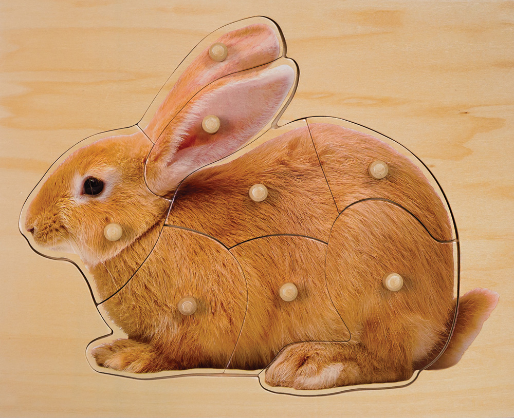 Rabbit Puzzle (7pcs) Play‘n’Learn Educational Resources