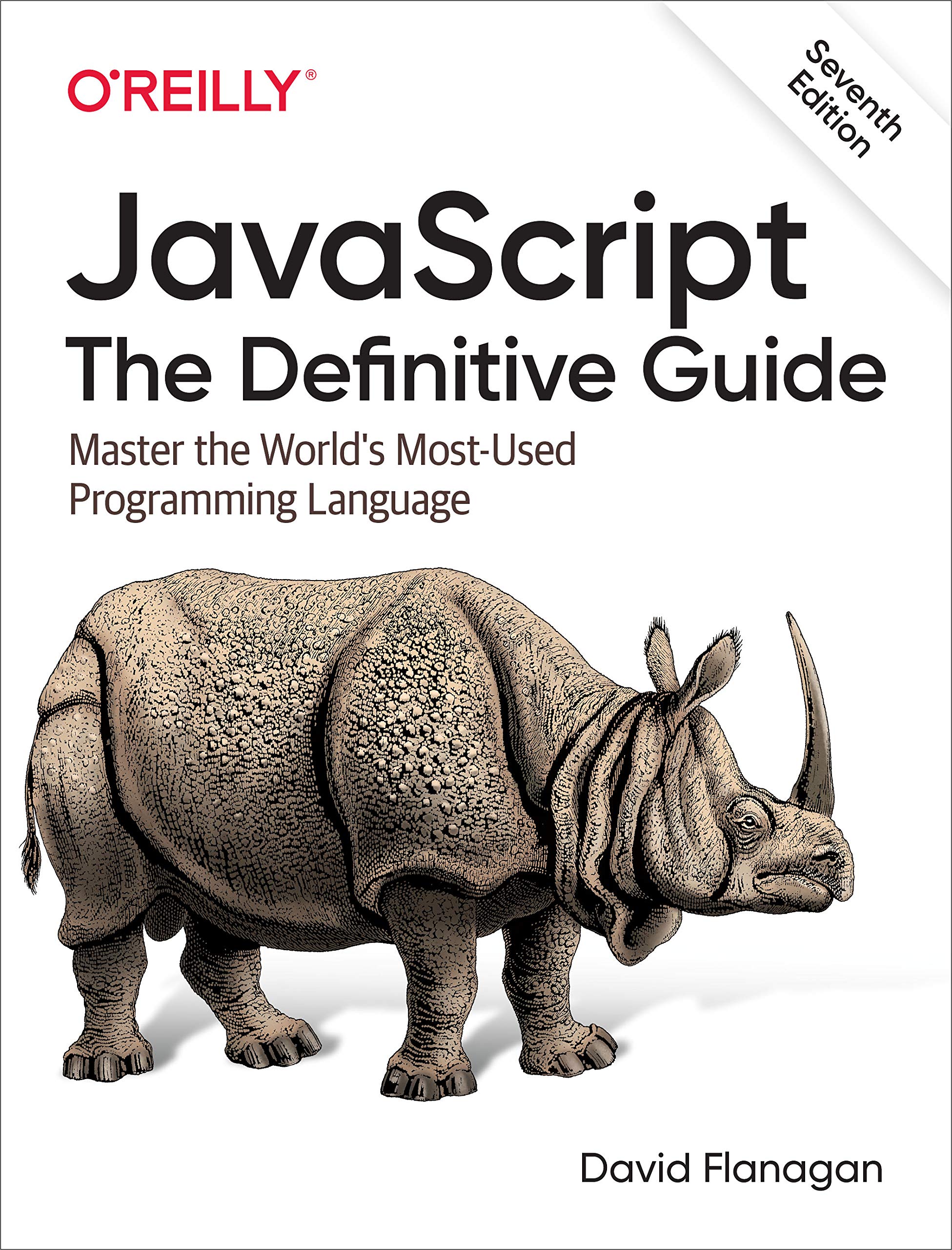 JavaScript The Definitive Guide PL Courses(09)
