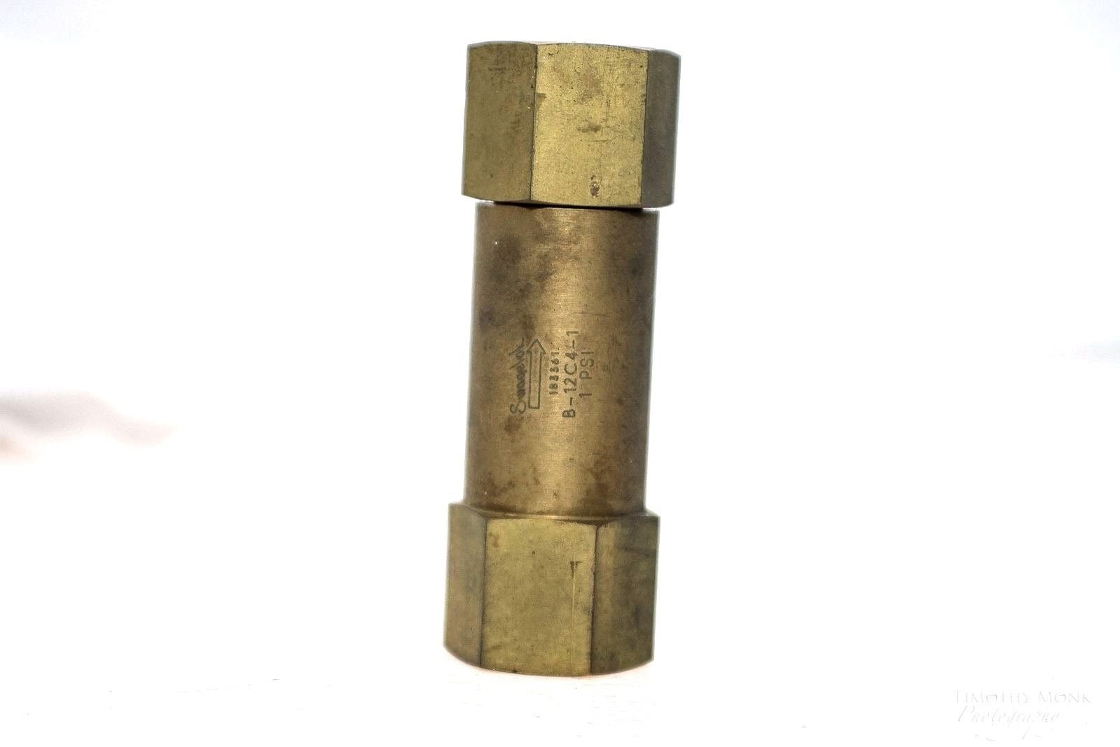 SWAGELOK COMPANY 183361 B12C41 1 PSI BRASS CHECK VALVE 3/4 FNPT (F73)