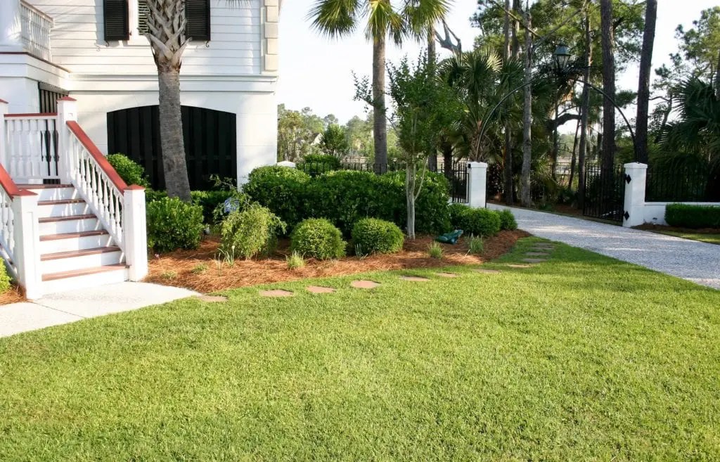 Experienced Tree Service Team for Charleston, SC Homeowners