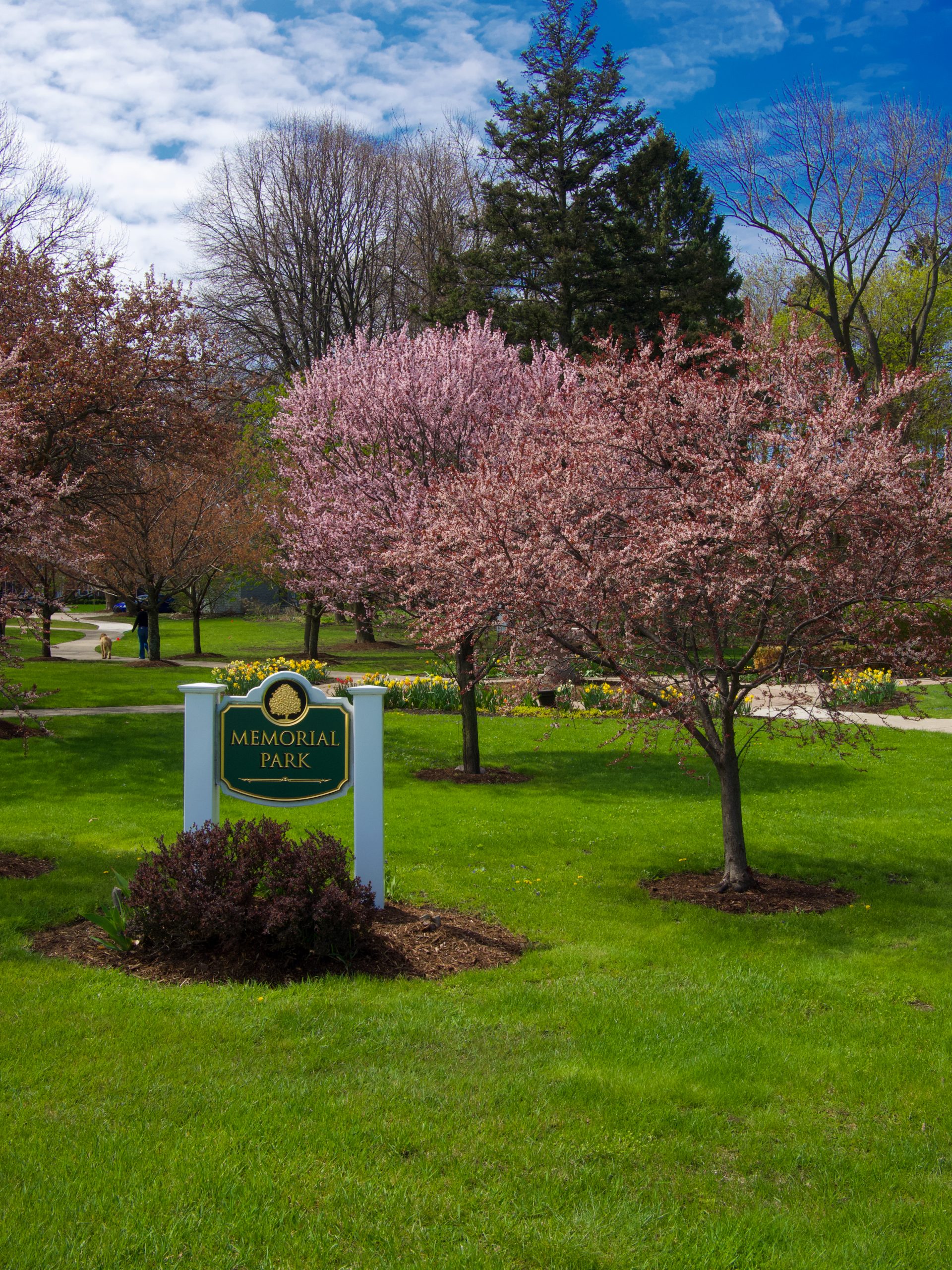 Neighborhood Gallery Pleasant Ridge Foundation