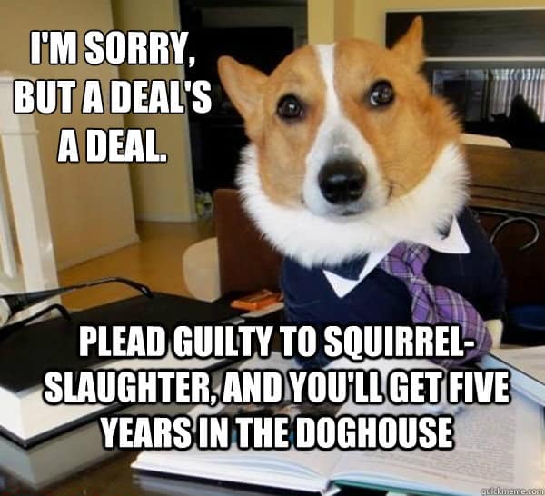 Best of the Lawyer Dog Meme (20 Pics)