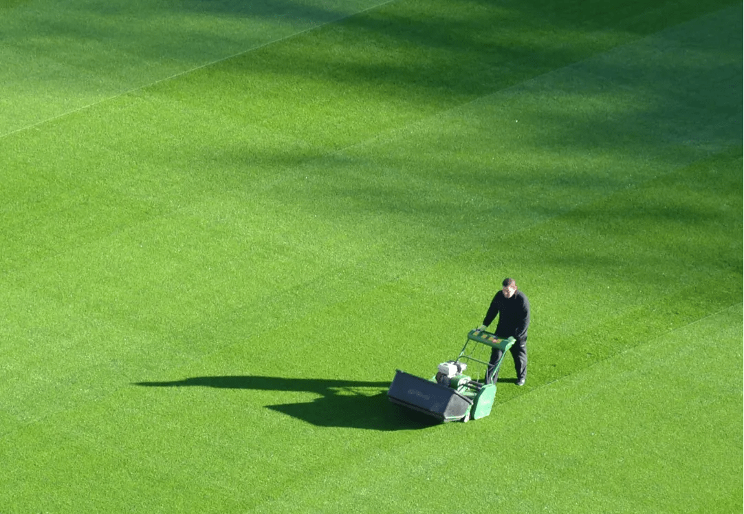How to Get Lawn Stripes like on a Baseball Field PLOWZ and MOWZ