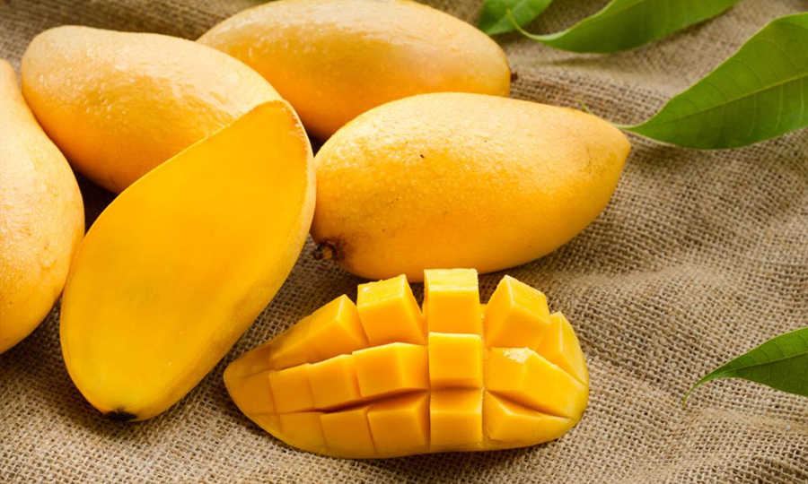 Fruits Powders & Extracts Manufacturer & Producer in India