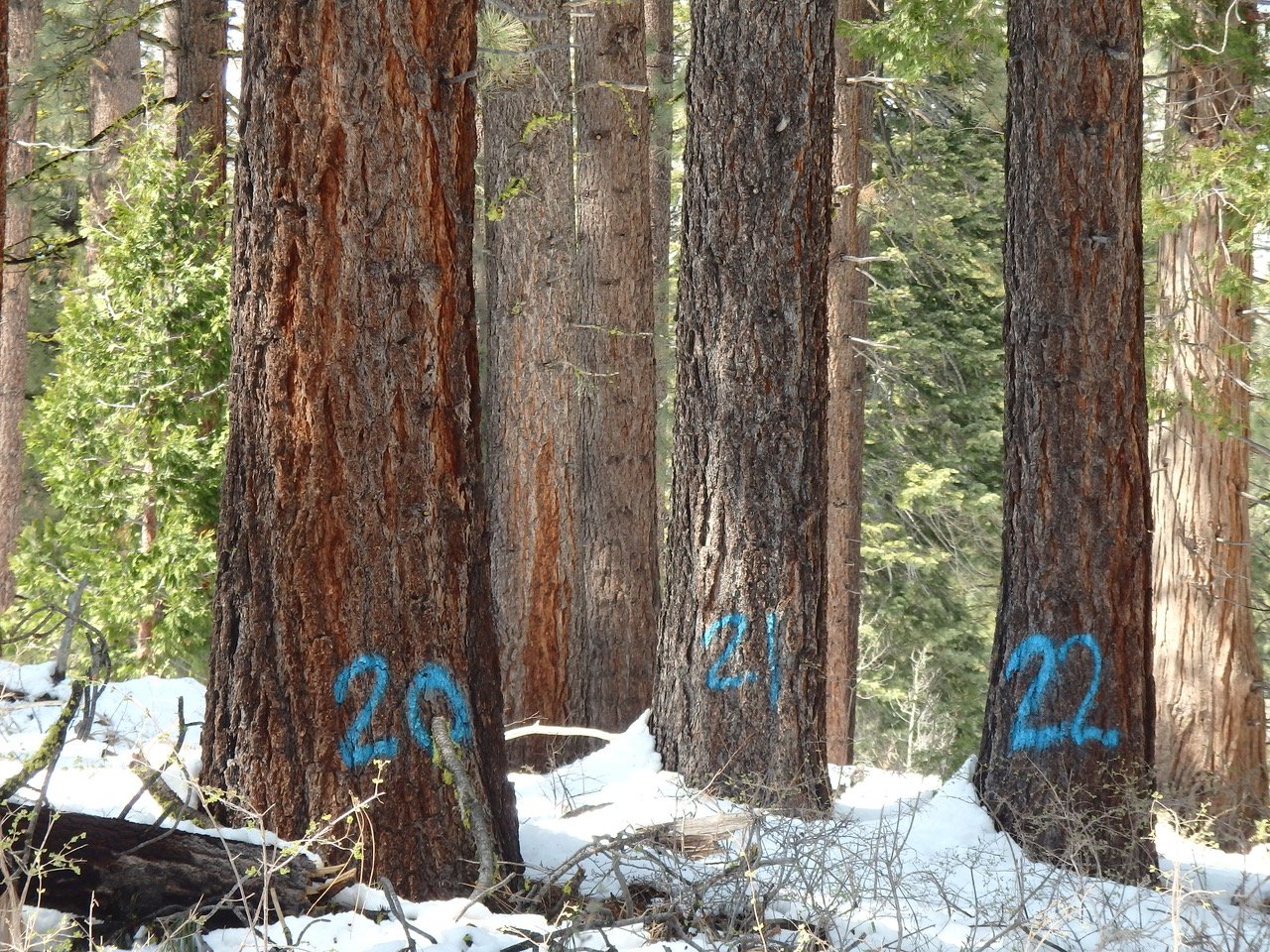 Where I Stand We strongly oppose the USFS Protection