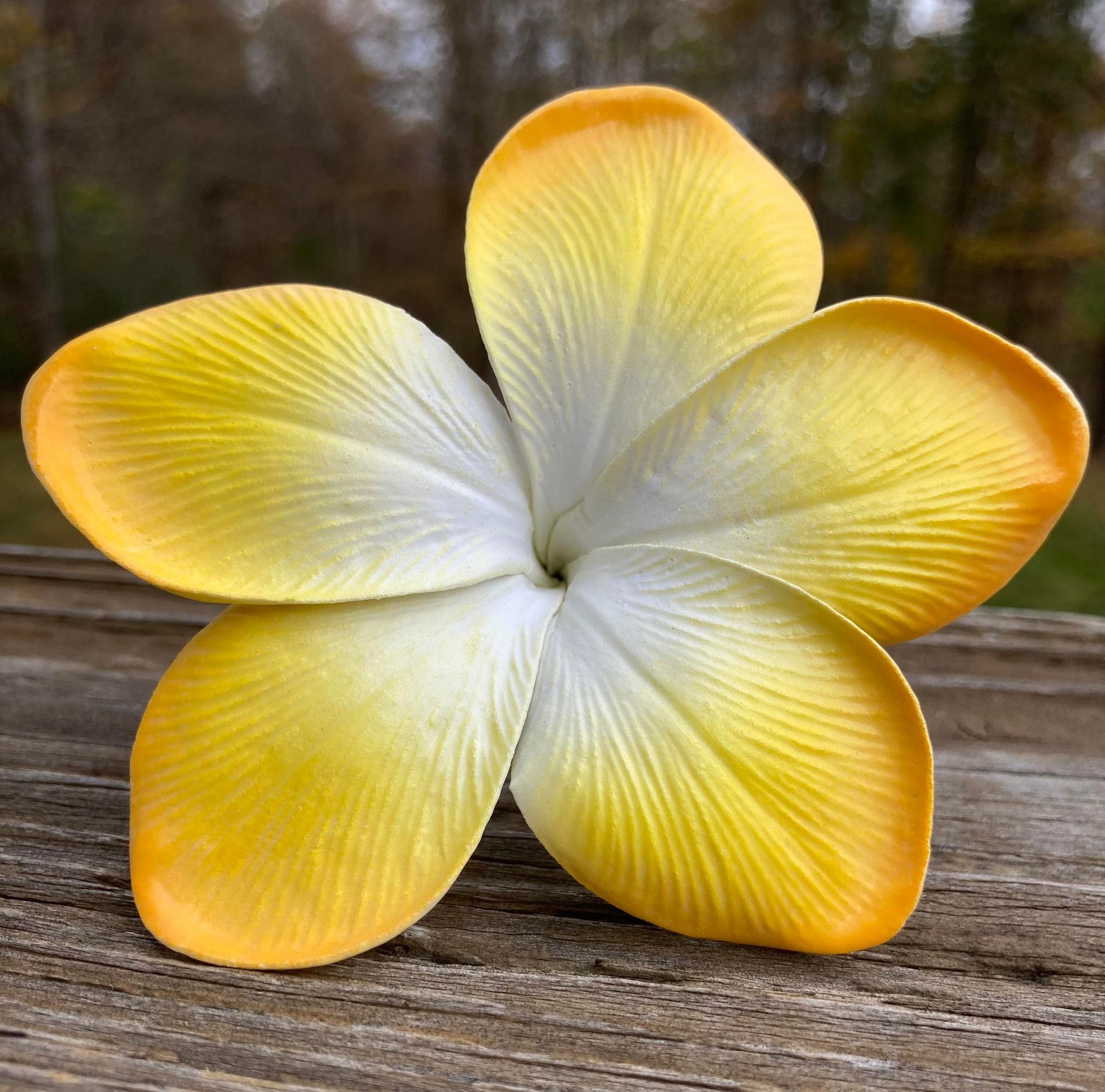 Real Touch Plumeria Flowers Box Plumeria Bouquets