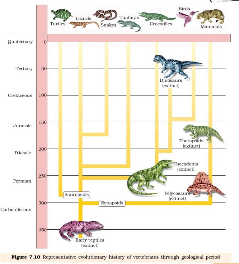 Origin and Evolution of Life on Earth PMF IAS