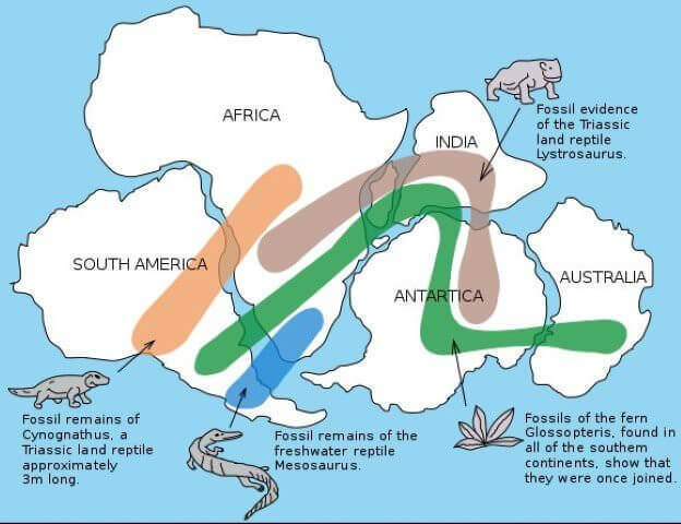 Continental Drift Theory Evidences and Drawbacks, Tectonics PMF IAS