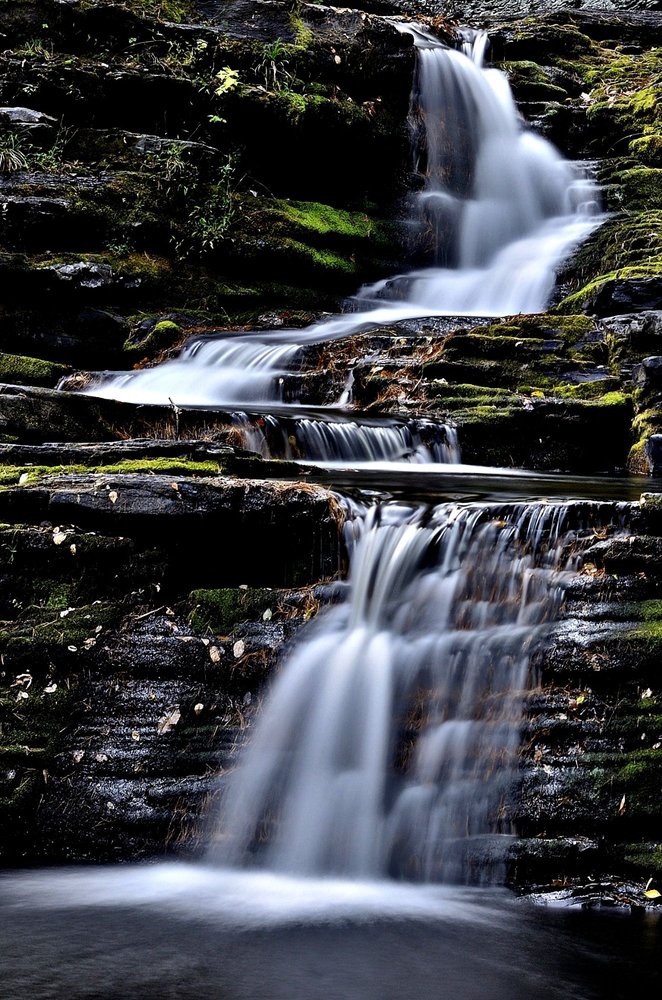 Pocono Mountain Lake Forest Community Association