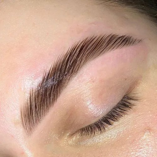 Eyebrow Lamination The Ultimate Guide PMUHub