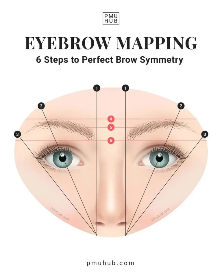 Eyebrow Anatomy for PMU Artists Important KnowHow