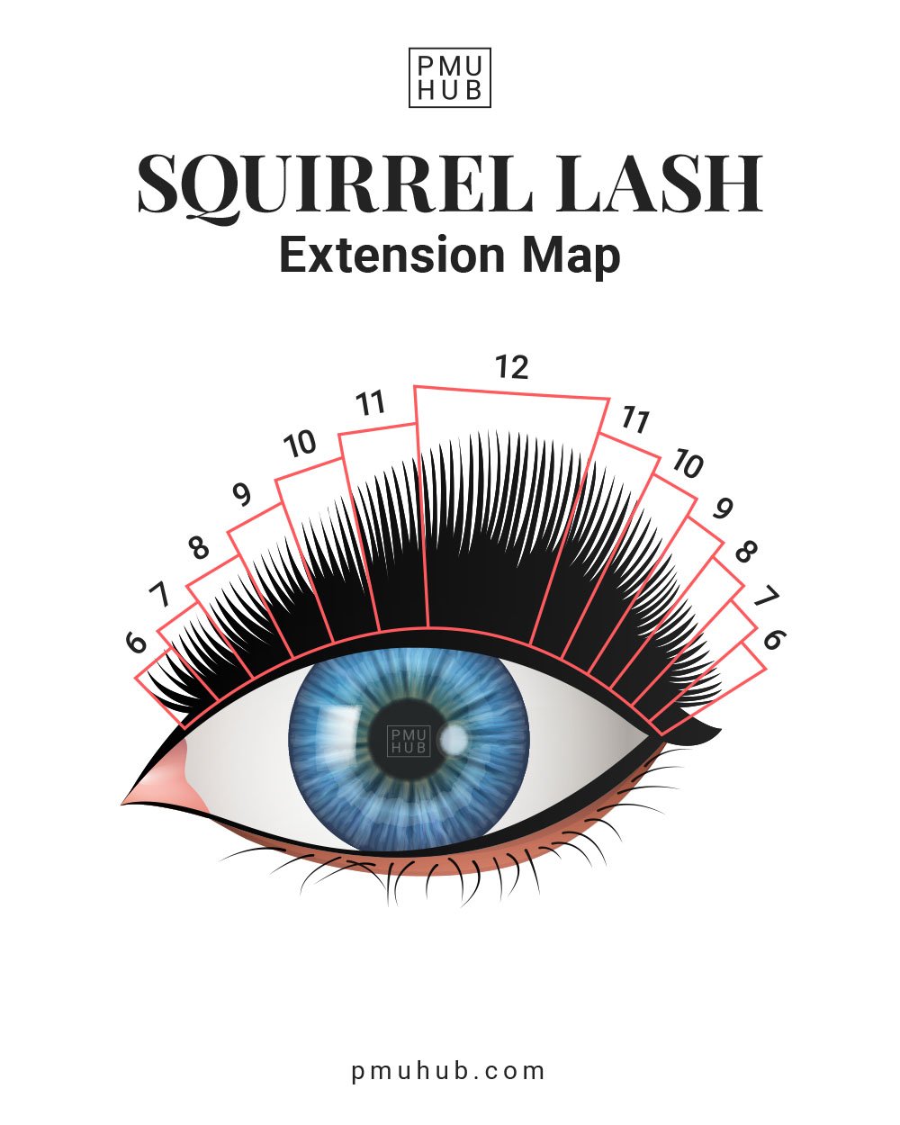 What Are Squirrel Eyelash Extensions & How to Do Them