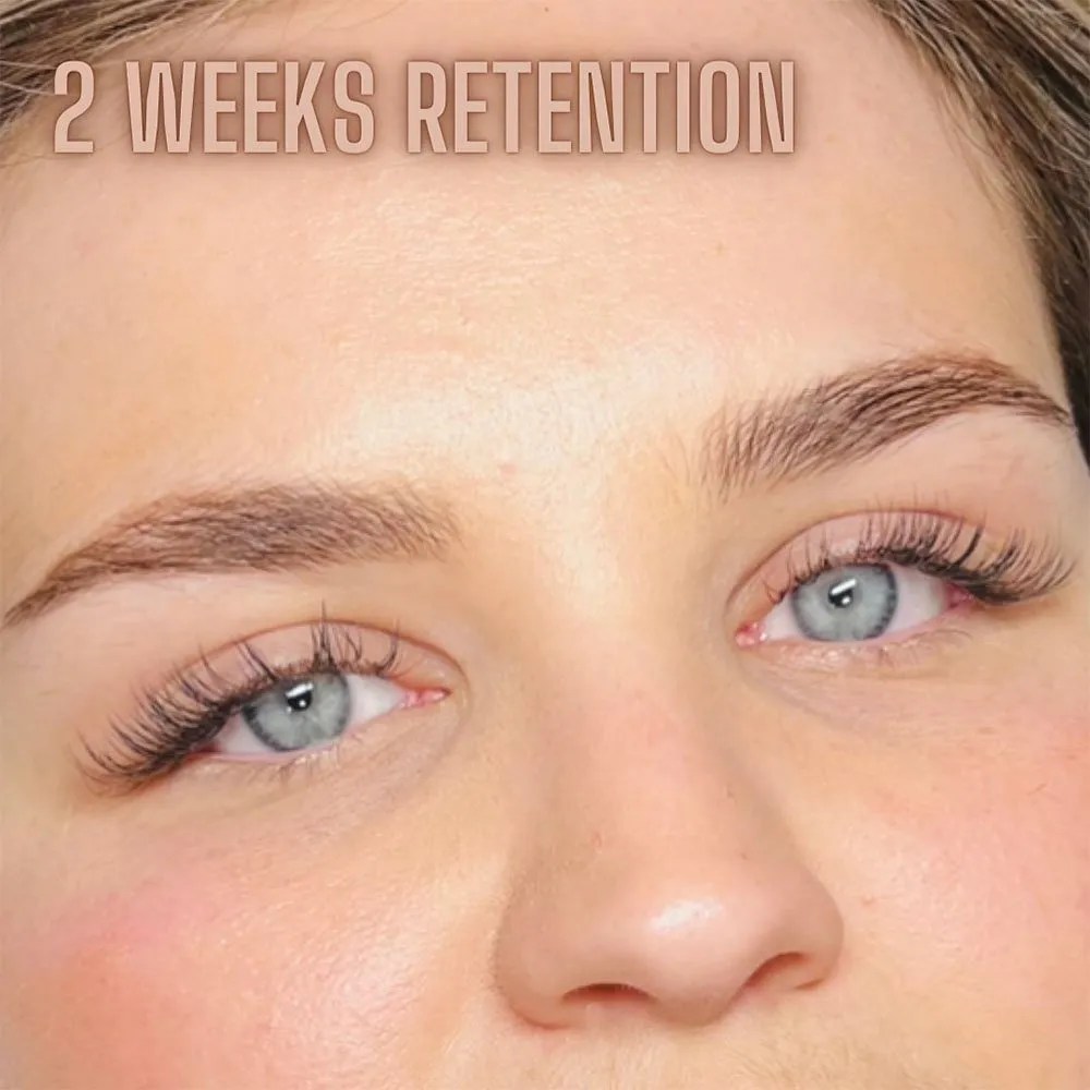 The Lash Growth Cycle Explained and Illustrated