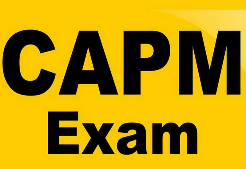 CAPM合格資料
