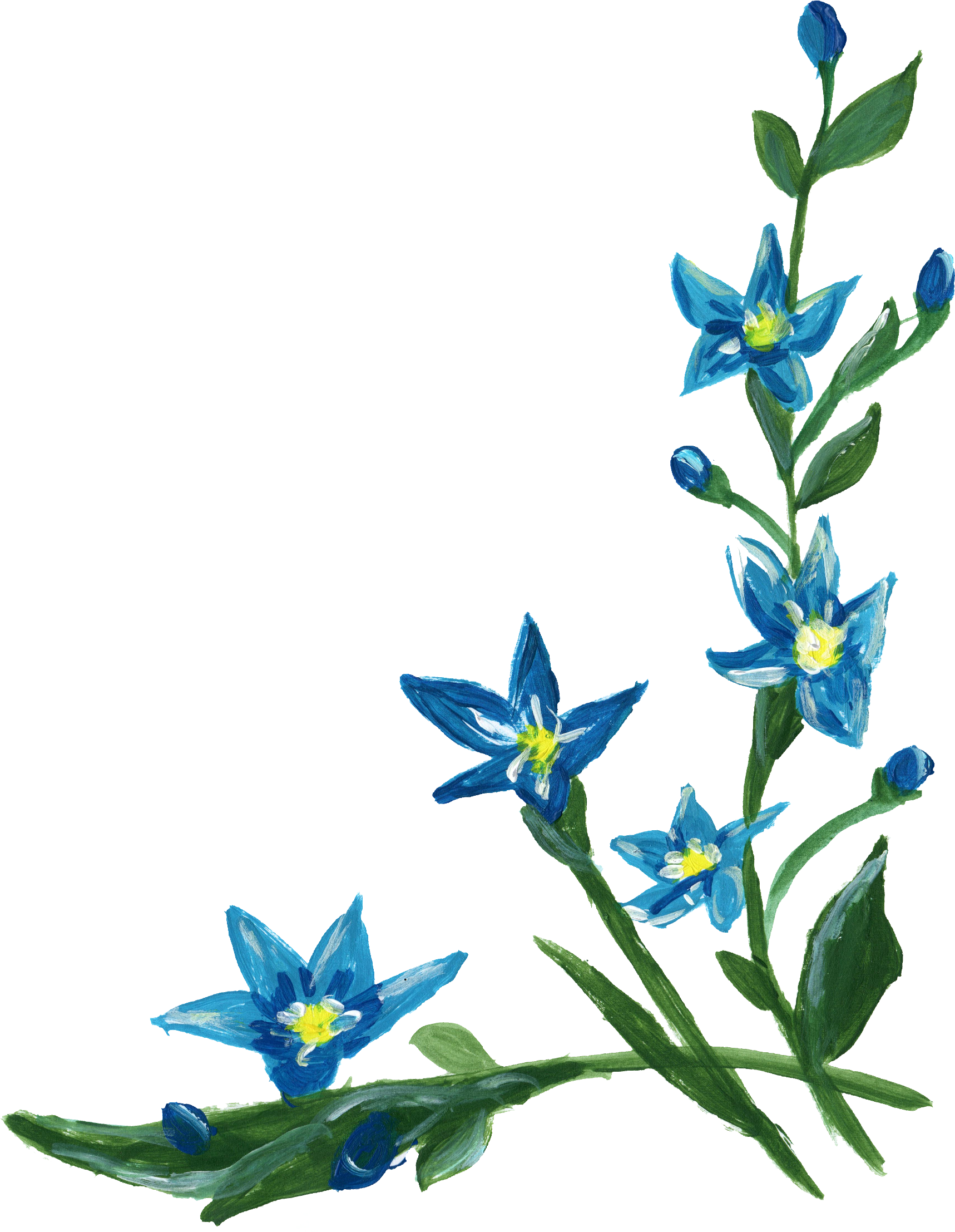 Blue Flower Transparent Background