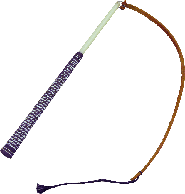 Whip PNG File PNG All