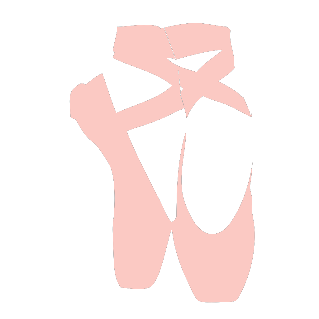 Pointe Shoes PNG Transparent PNG All
