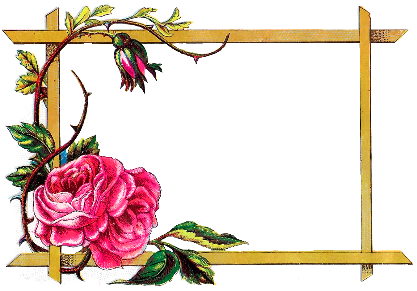 Border Frame PNG Transparent Images