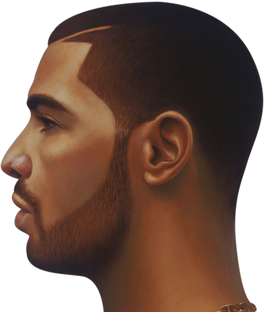 Drake PNG Transparent Images PNG All