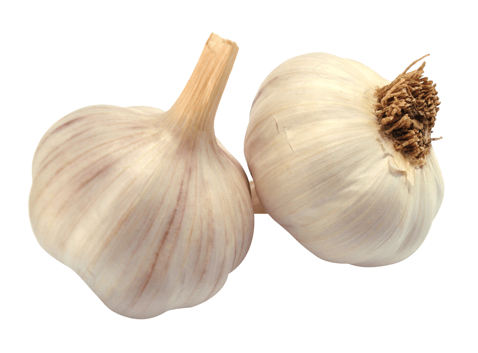 Garlic PNG Transparent Images PNG All