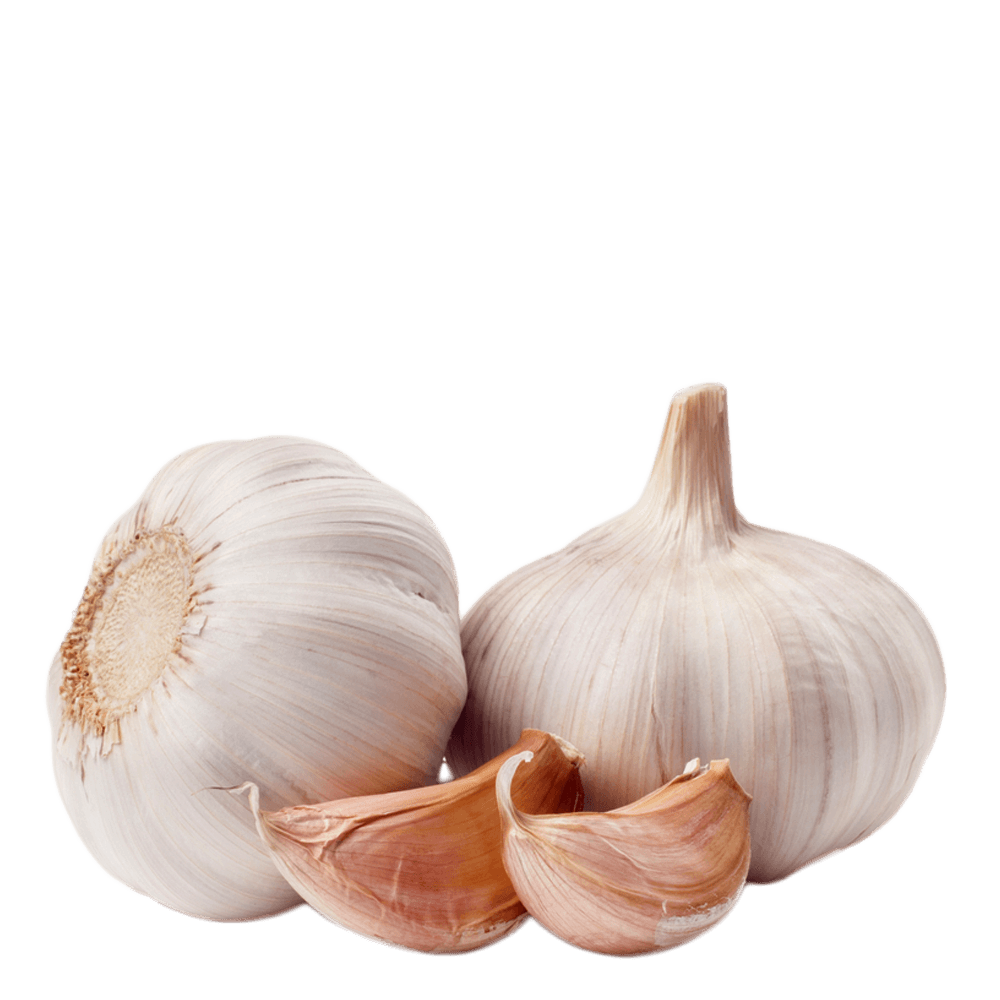 Garlic PNG Transparent Images PNG All