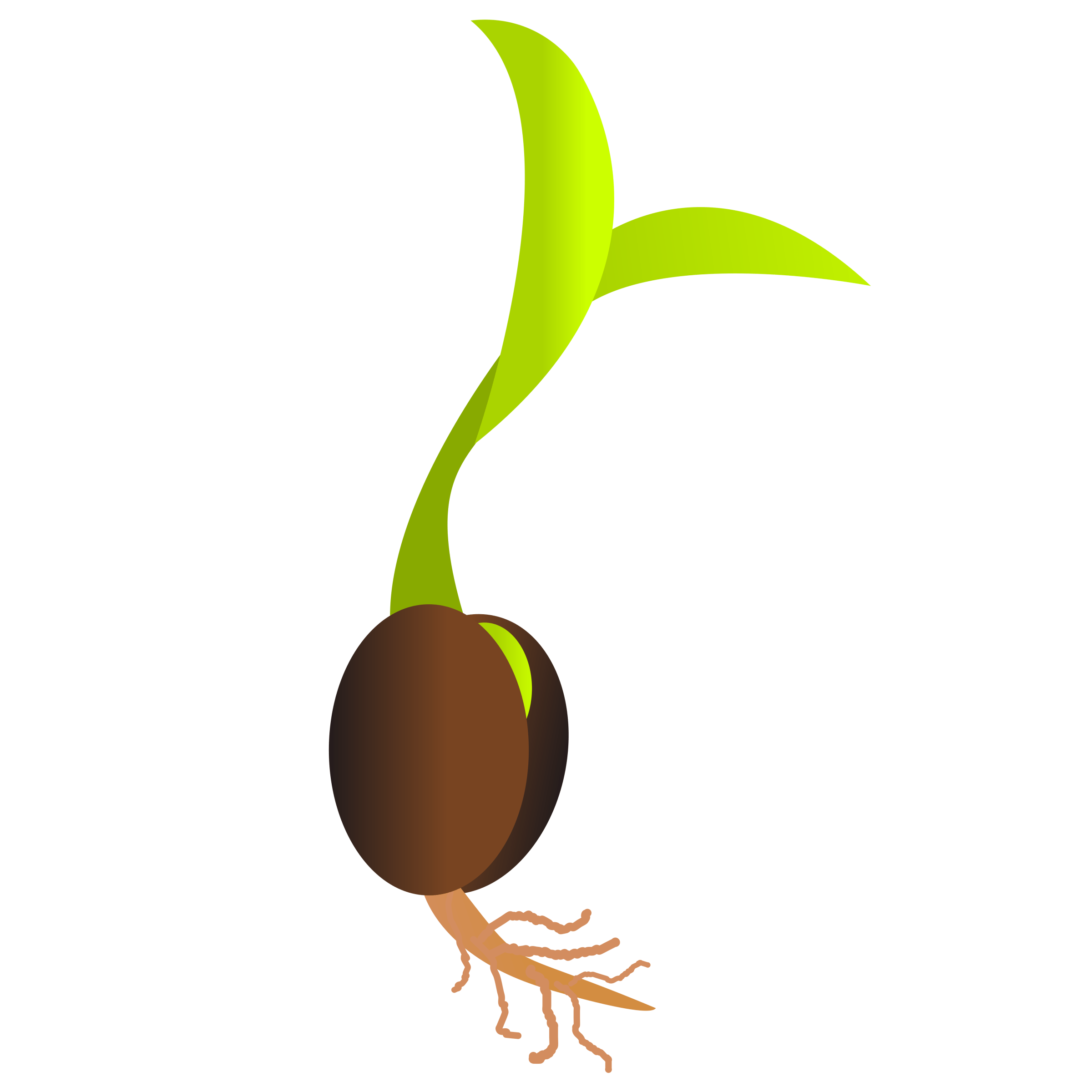 Seed PNG Transparent Images PNG All