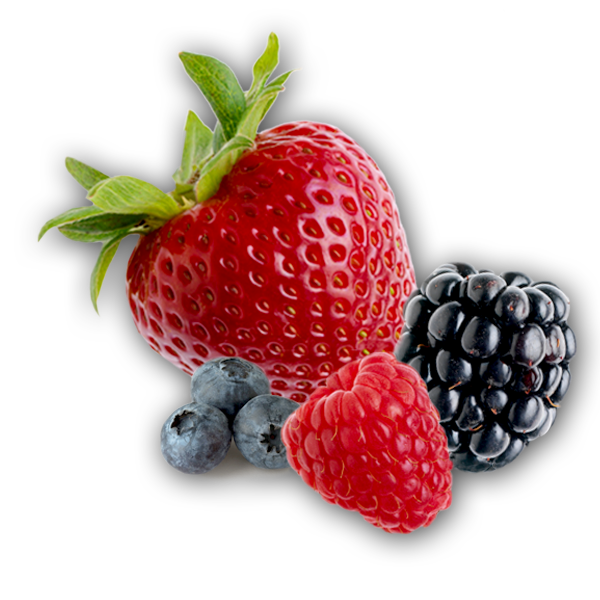 Berries PNG Image File PNG All