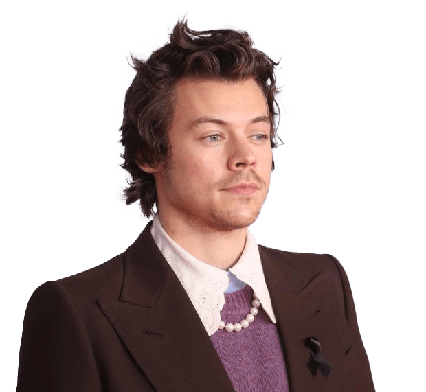 Harry Styles PNG Transparent Images PNG All