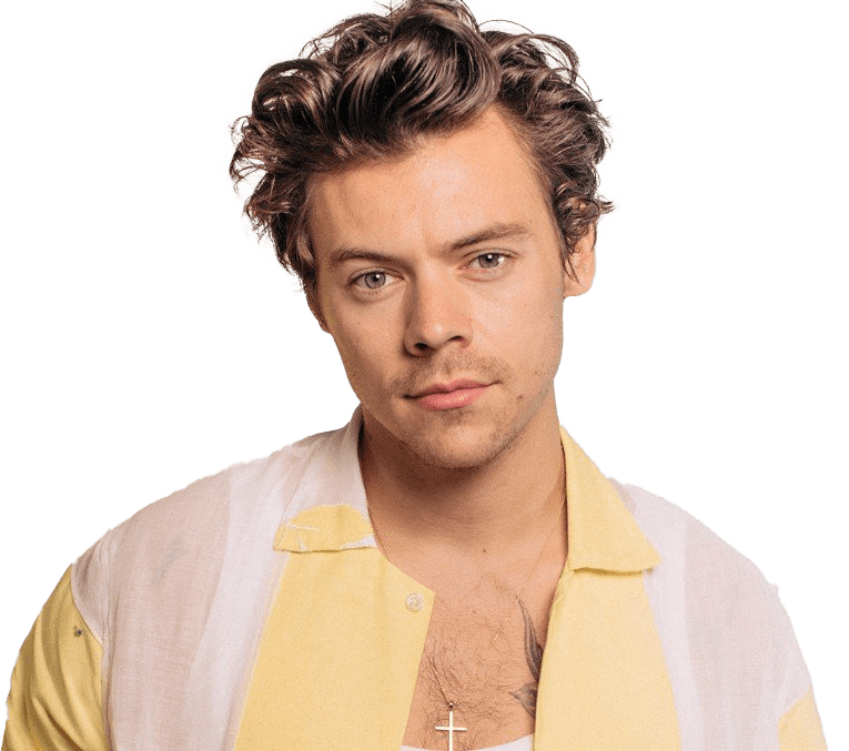 Harry Styles PNG Transparent Images PNG All