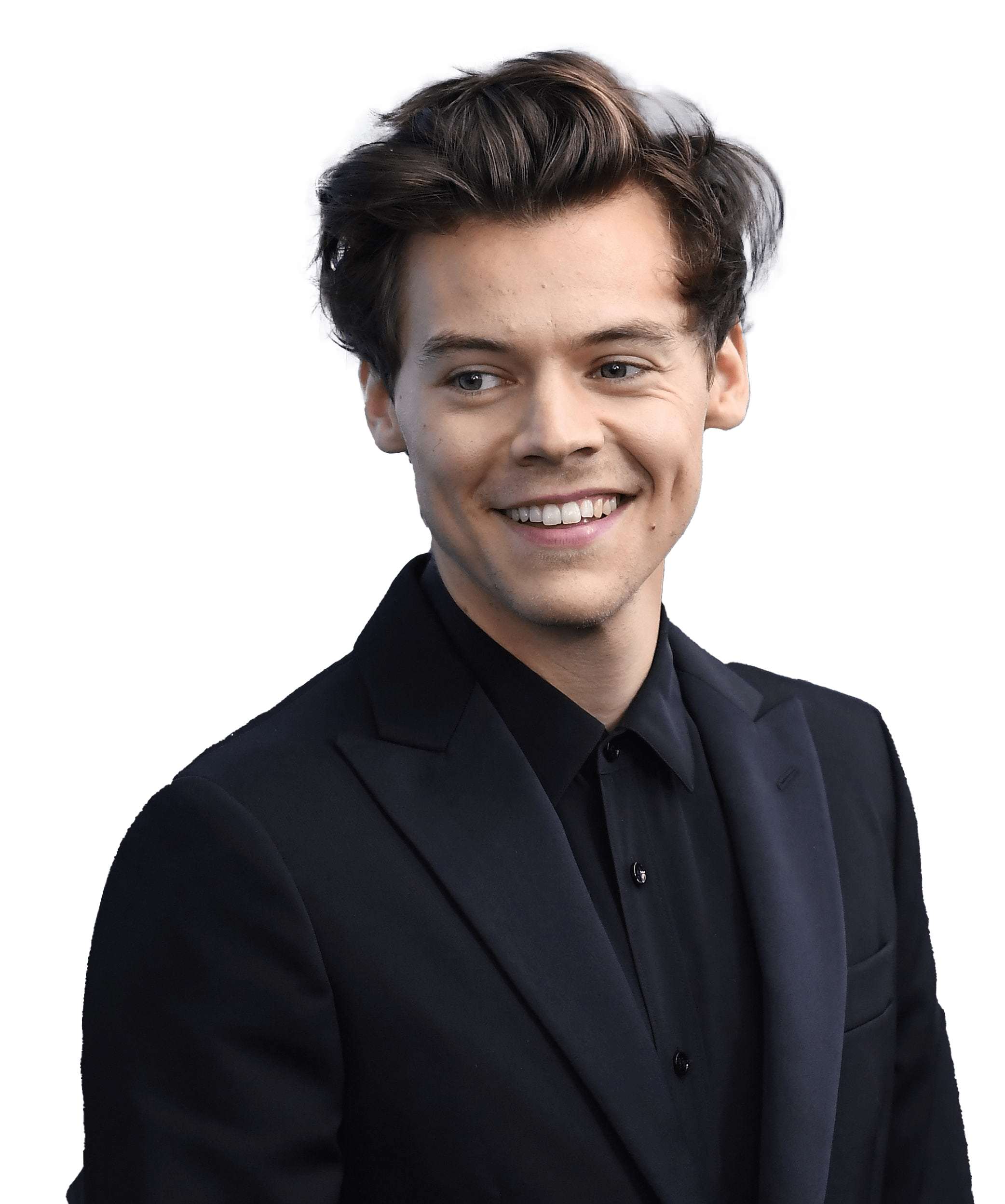 Harry Styles Png PNG Image Collection