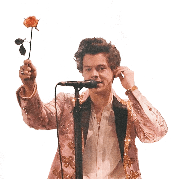 Harry Styles PNG Transparent Images PNG All