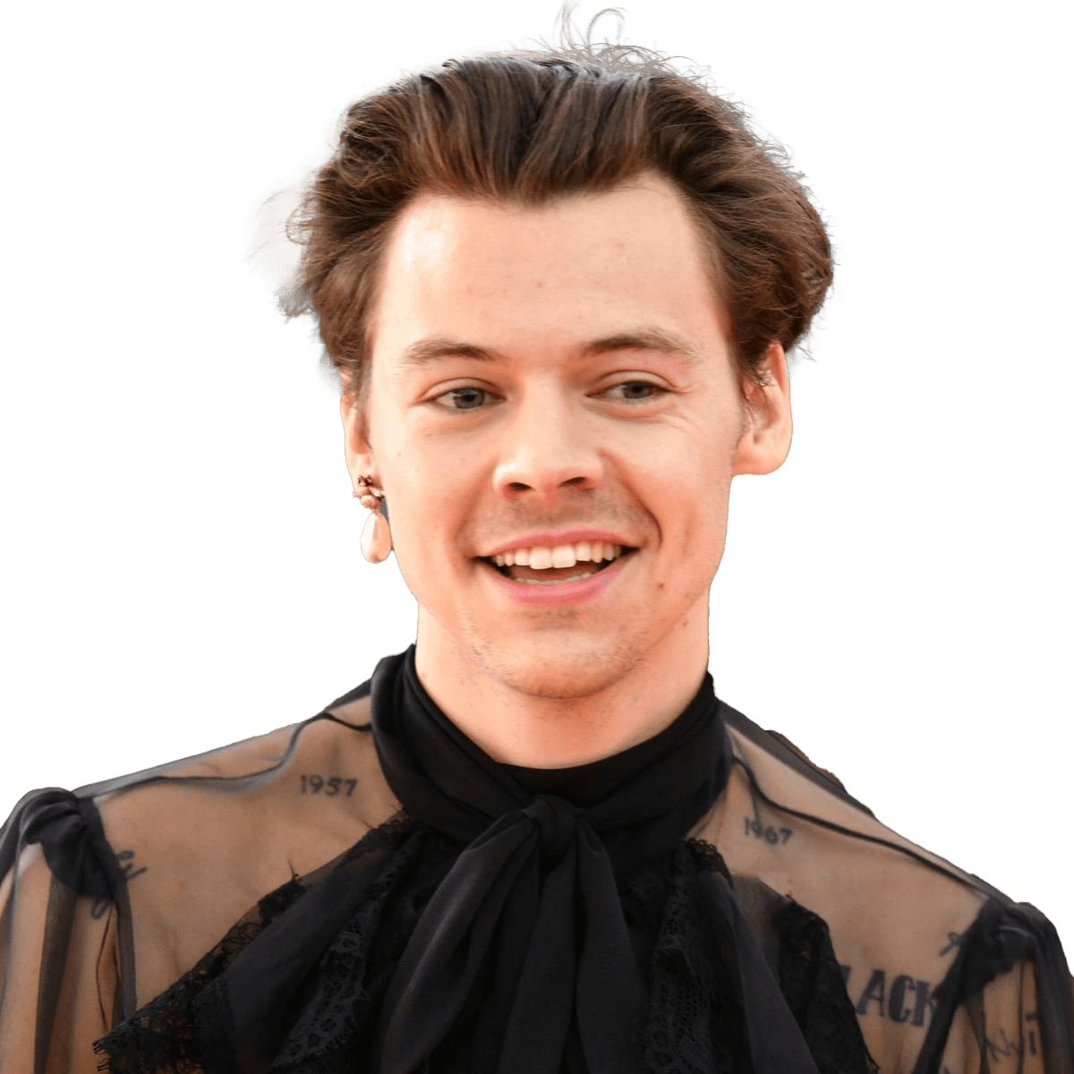 Harry Styles PNG Transparent Images PNG All