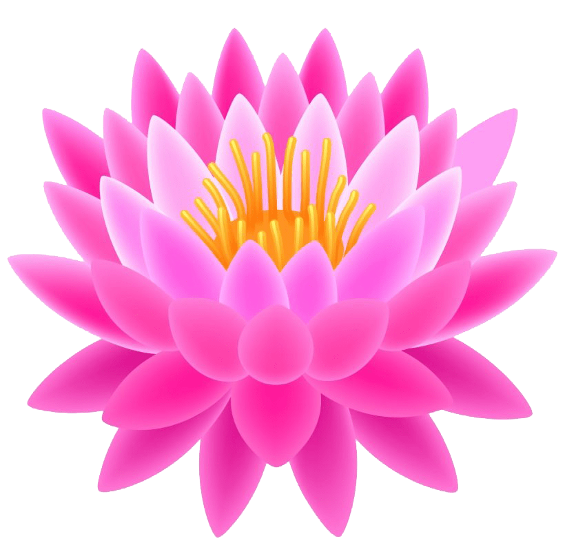 Lotus PNG Transparent Images