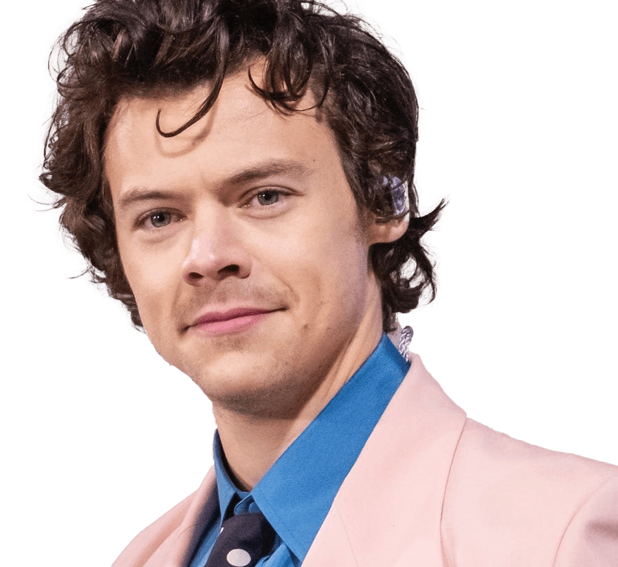 Singer Harry Styles PNG Image PNG All