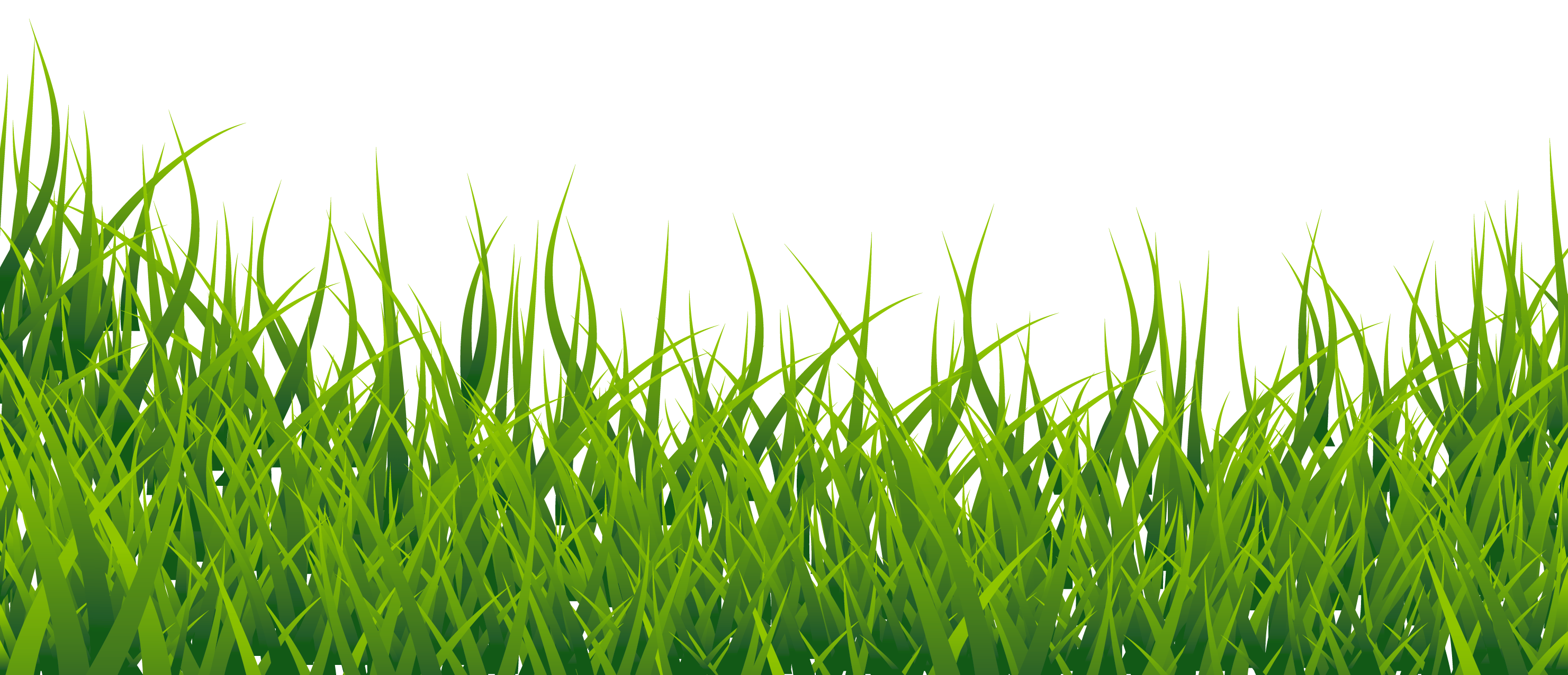 Field PNG Transparent Images