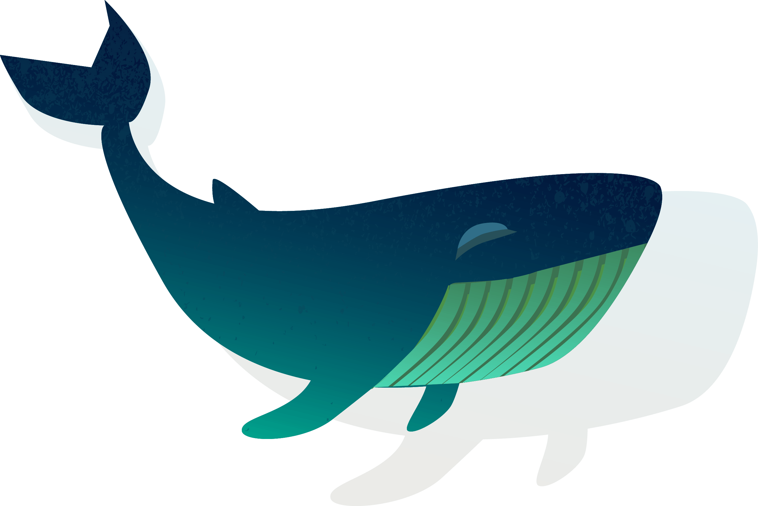 Whale PNG Transparent Images
