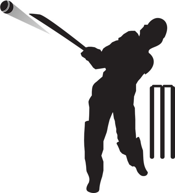 Wicket PNG Transparent Images