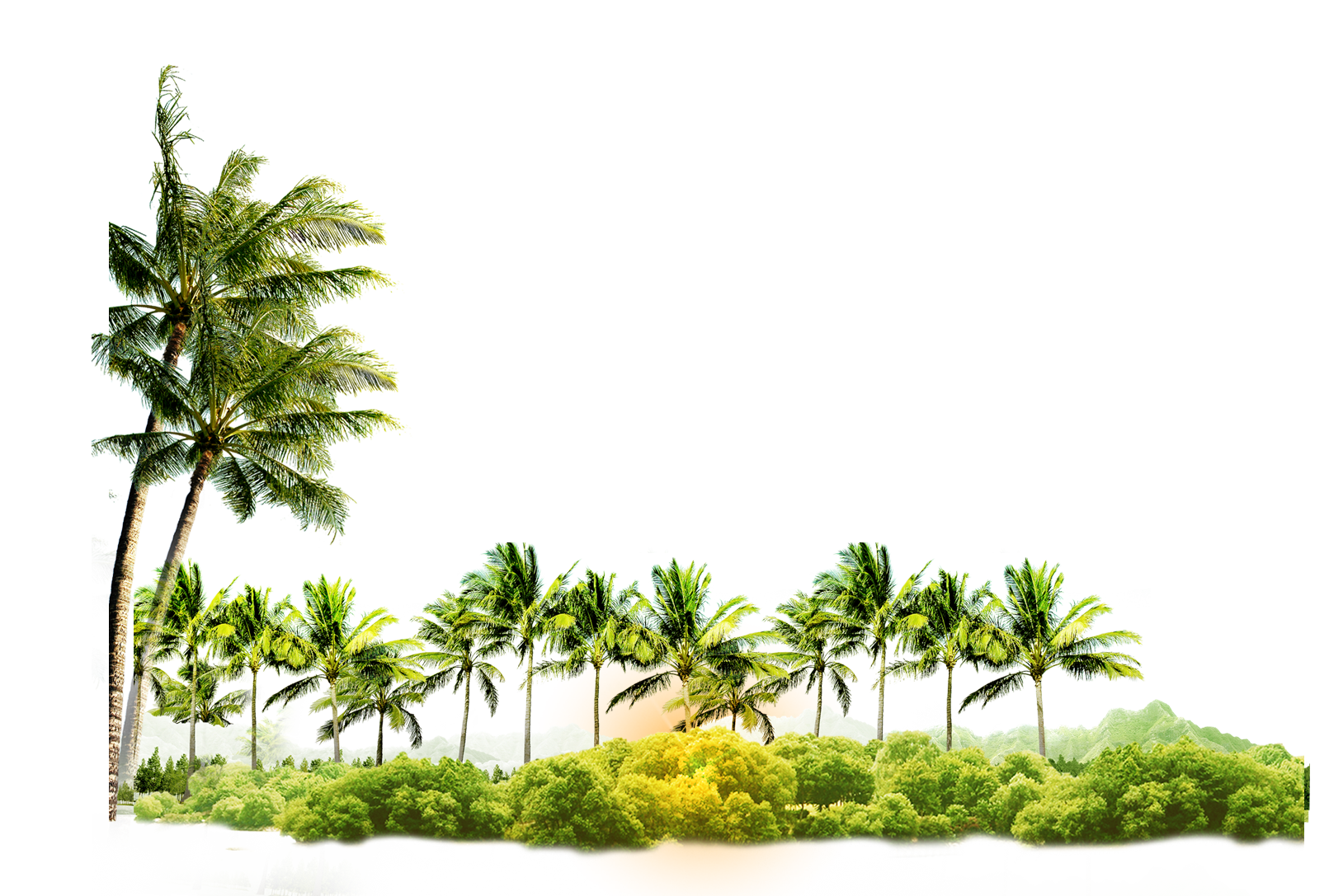 Coconut Palm Tree Sunset Tropical Landscape Clipart PNG All