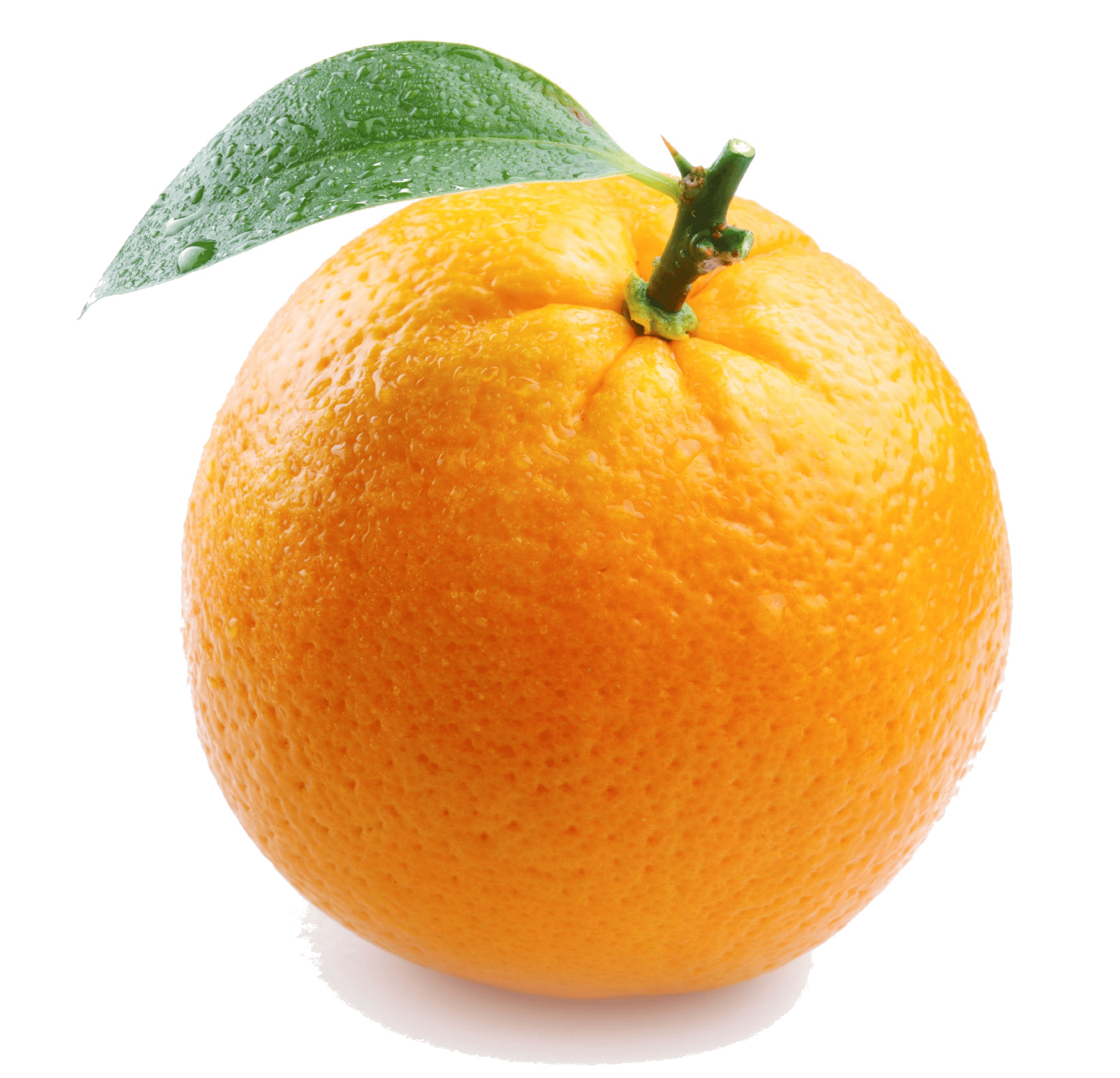Single Orange Transparent Image PNG Arts